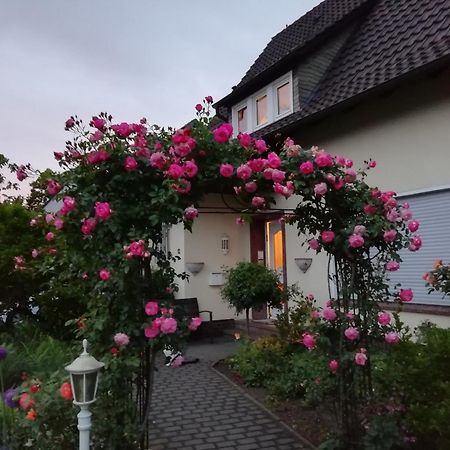 Willy Und Gudrun Lägenhet Rheda-Wiedenbrück Exteriör bild